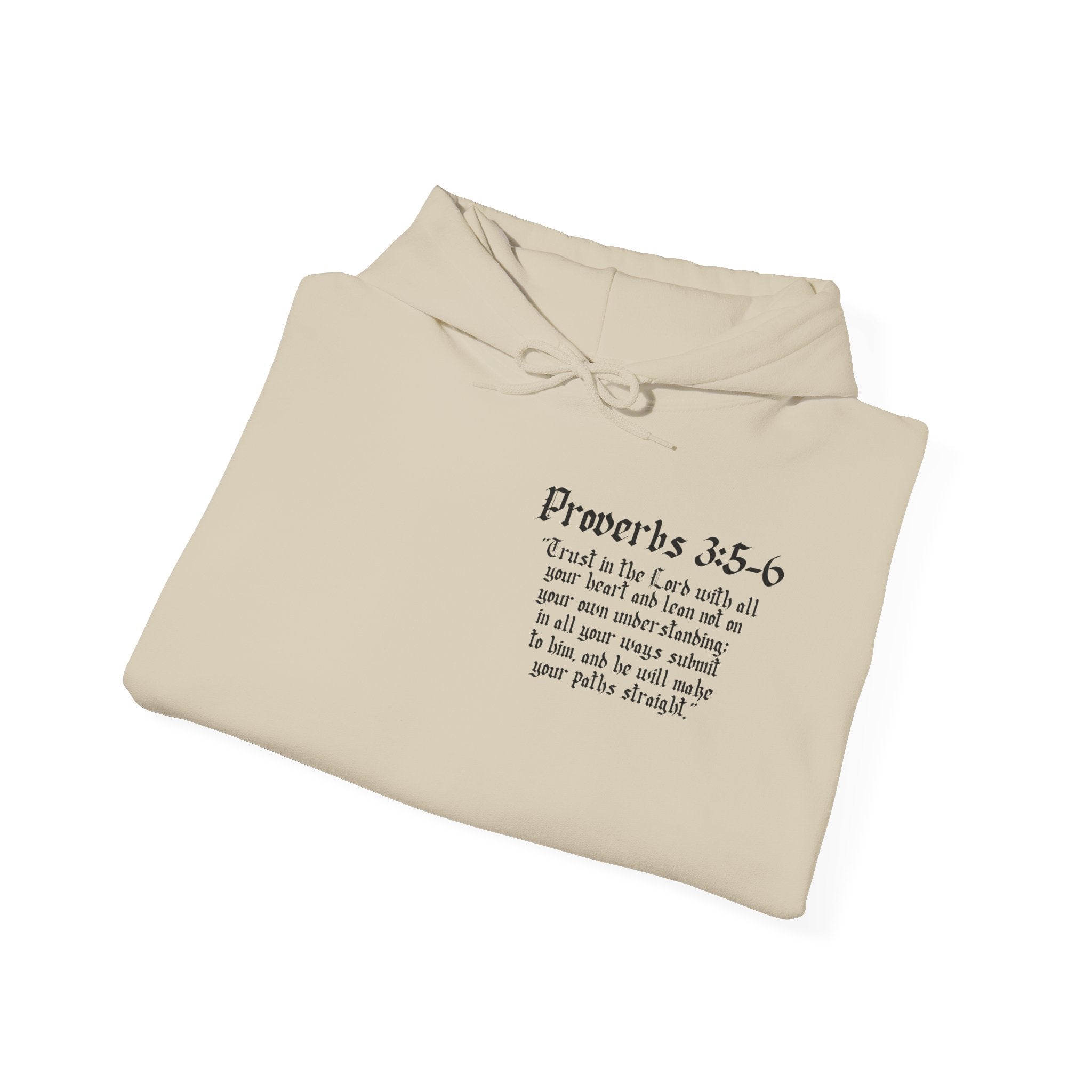 Built In Faith Proverbs 3:5-6 Hoodie